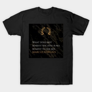 Marcus Aurelius's Harmony: The Interconnected Essence of Contribution T-Shirt